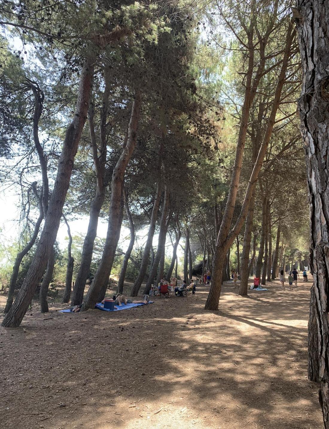 Alloggio Vista Mare - Parcheggio Gratis Pineto Dış mekan fotoğraf
